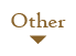 Other その他